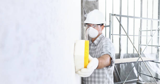 Best Environmental Consulting for Mold Prevention  in Berwick, LA