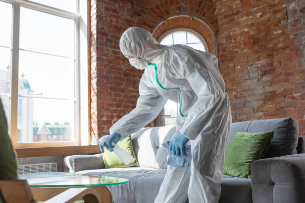 Why You Should Choose Our Mold Remediation Services in Berwick, LA